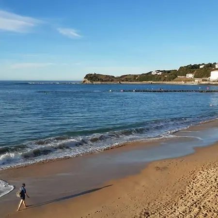 Moderne Proche Plage, Jardin Et Wifi - Fr-1-4-706 Apartment *
